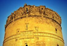 Market Buildings and Their Design