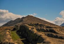 Onions and Daily Food